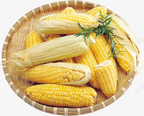 玉米食品农产品玉米粒水果 平面电商 创意素材 玉米粒素材