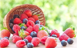 重磅 日本草莓种植园商业模式分析