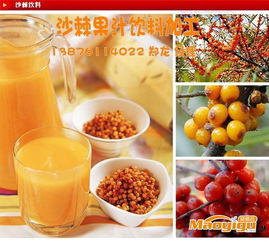 沙棘果汁饮料加工,小规格沙棘果汁饮料OEM