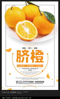 赣南特产脐橙水果海报