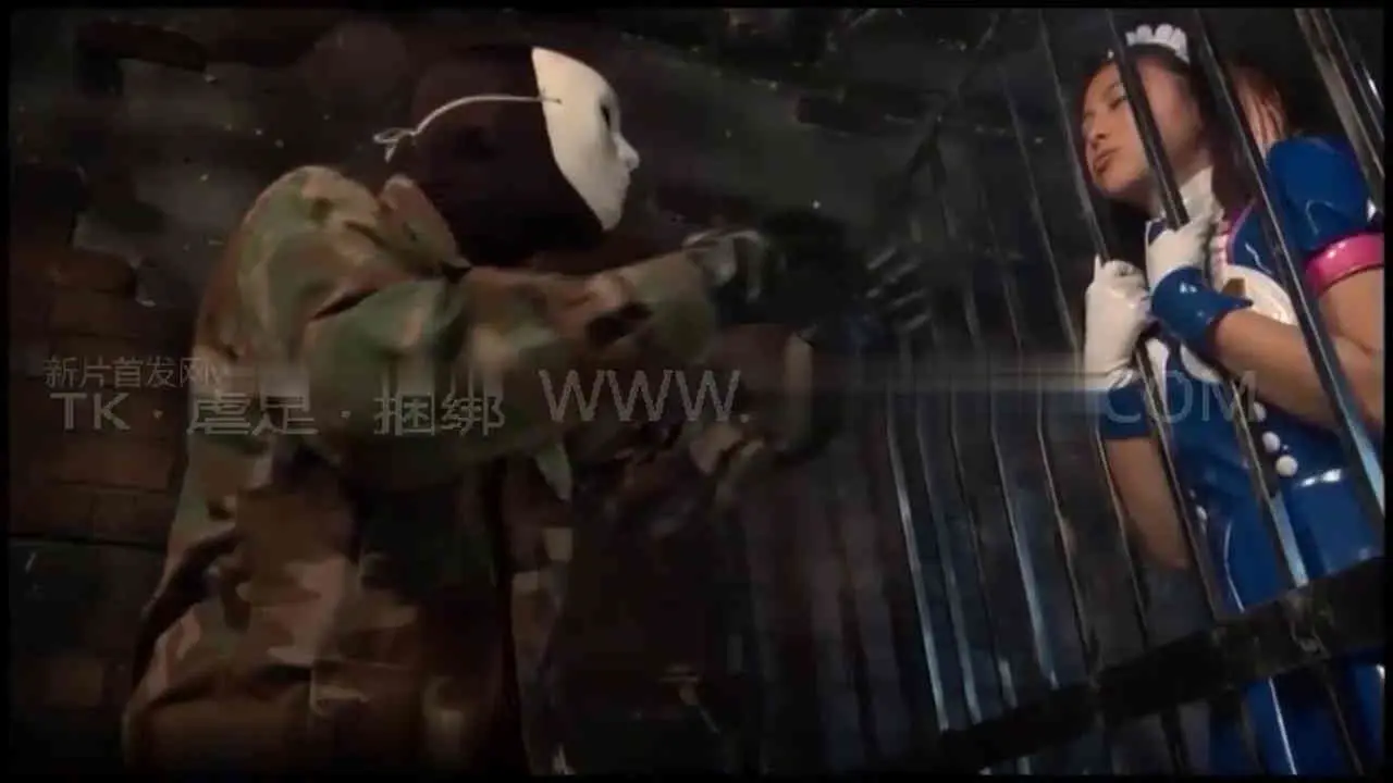 5.webp