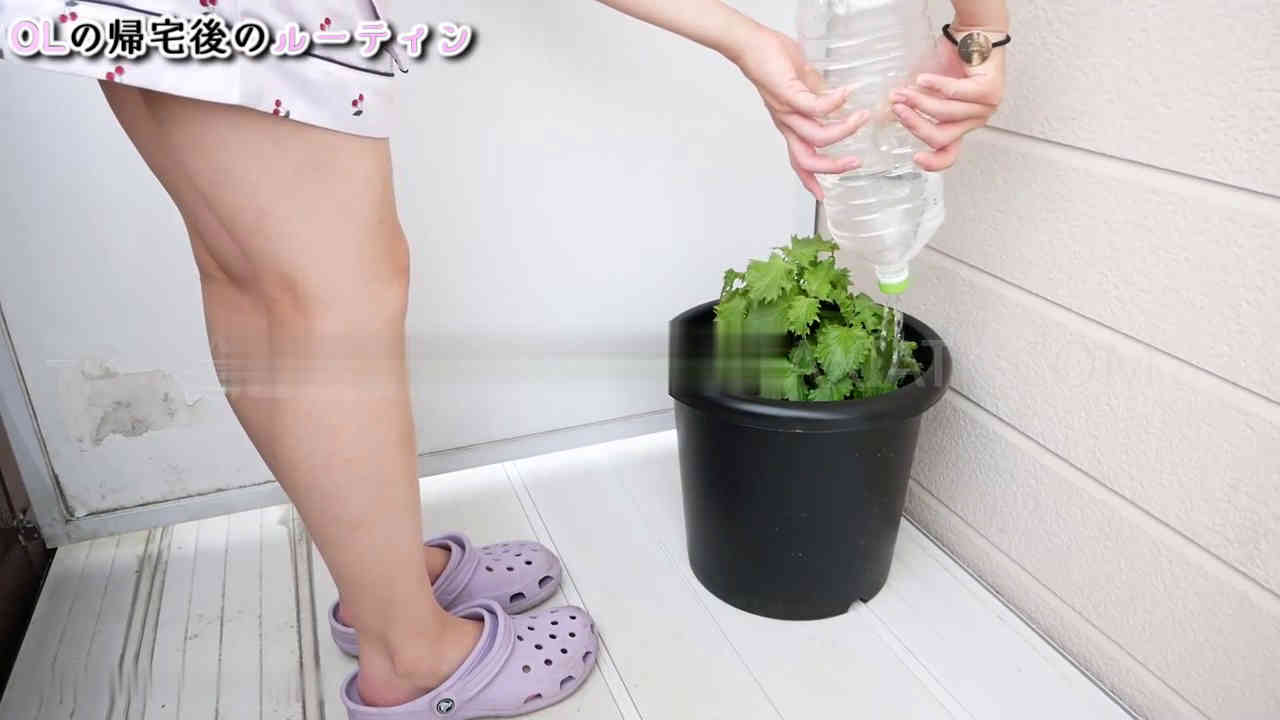 004301mnp8pmzx5f2fmppr.jpg